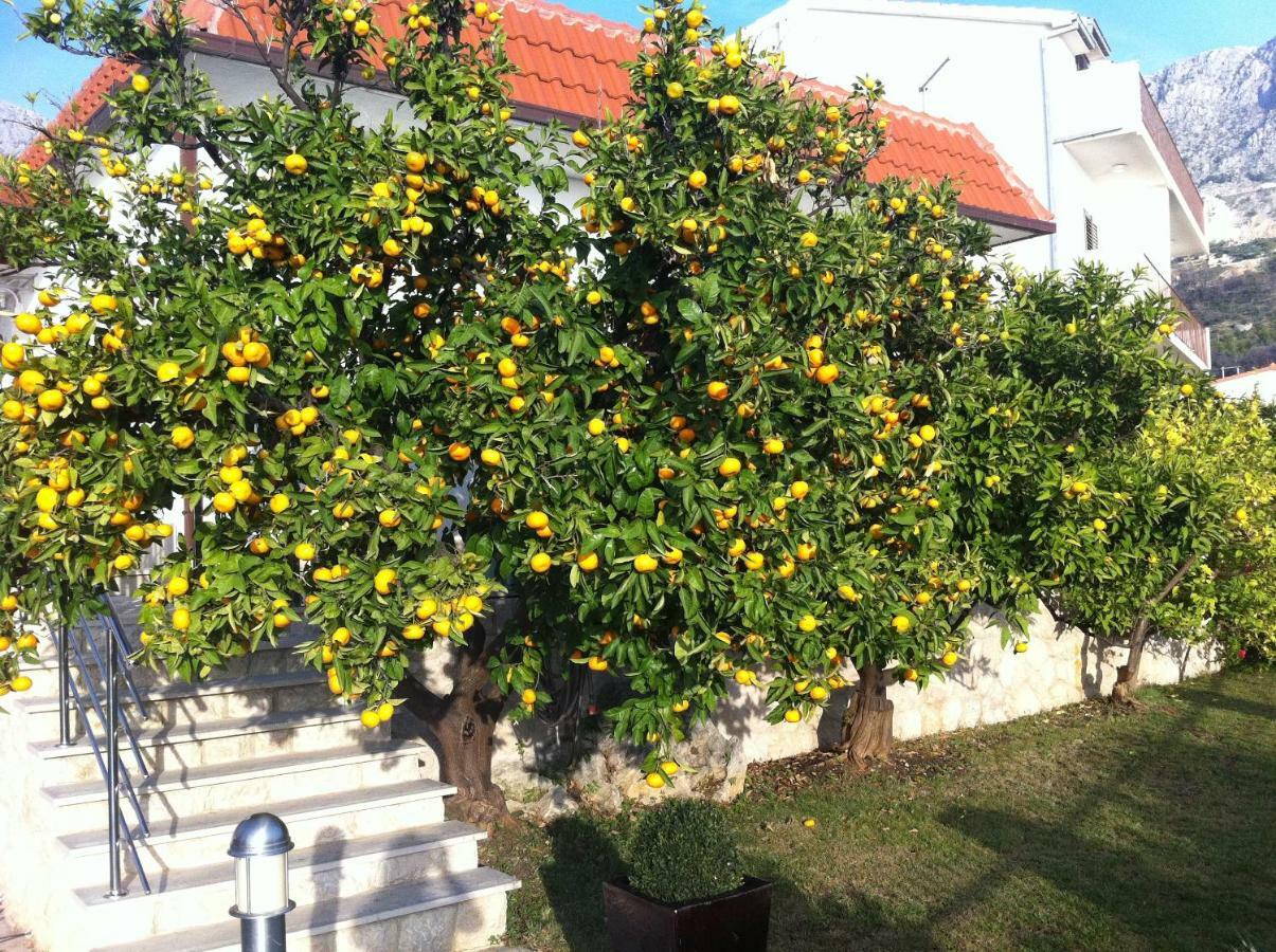 Villa Old Olive, 3Lovelyvillas Podgora Bagian luar foto